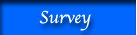 Survey